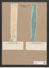 Pleurosigma rigidum W.Sm. (de-Toni-Nr.: Genus 13, Species 1013) Zeichnungen Sammlung Grunow Nr. 2074 (NHMW-BOT-W0368937)